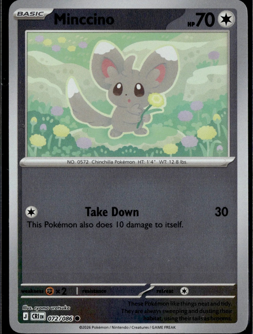 Minccino
